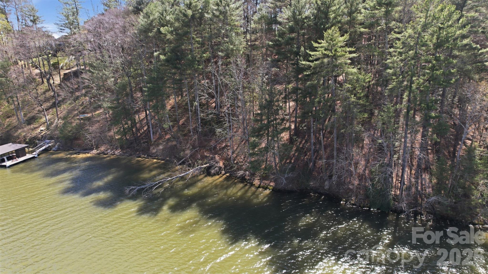 211 Ridge Top Drive #11 - Photo 13