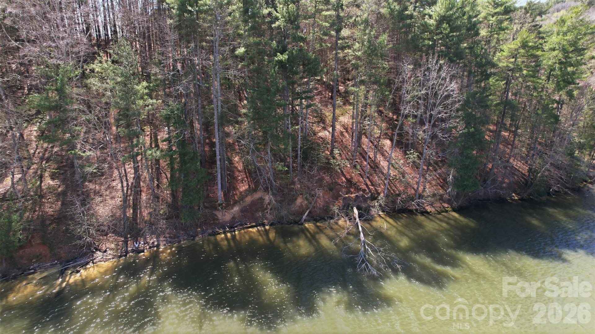 211 Ridge Top Drive #11 - Photo 14