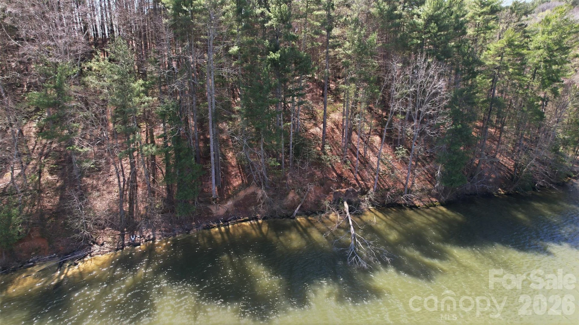 211 Ridge Top Drive #11 - Photo 14