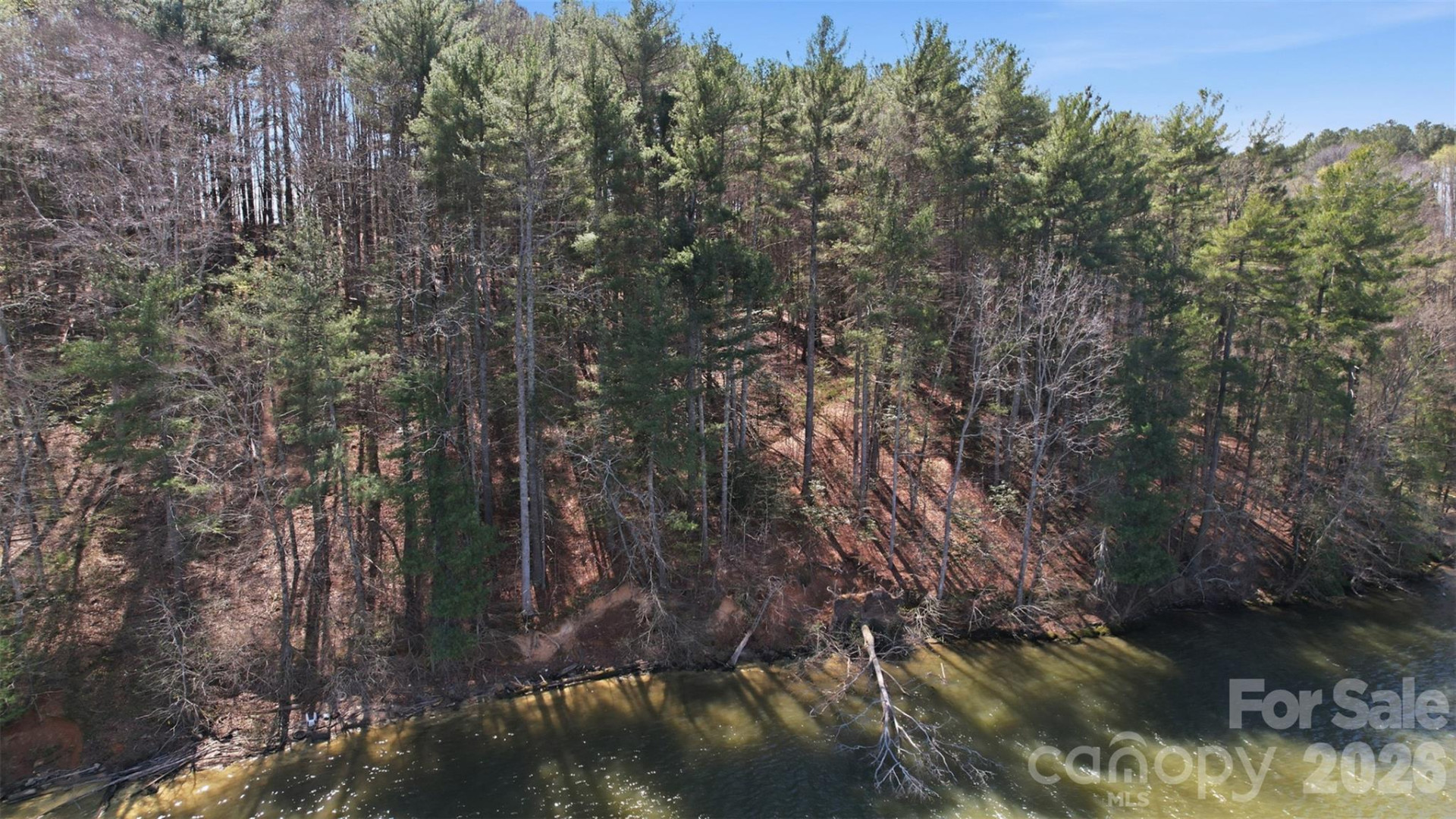 211 Ridge Top Drive #11 - Photo 15