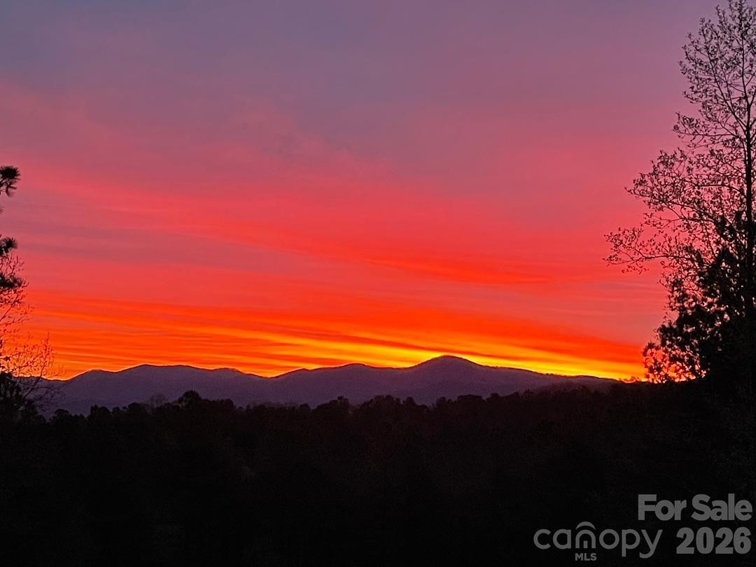 61 Majestic Path - Photo 44