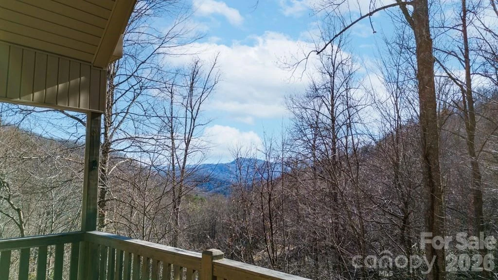 12 Chigger Ridge Road - Photo 3