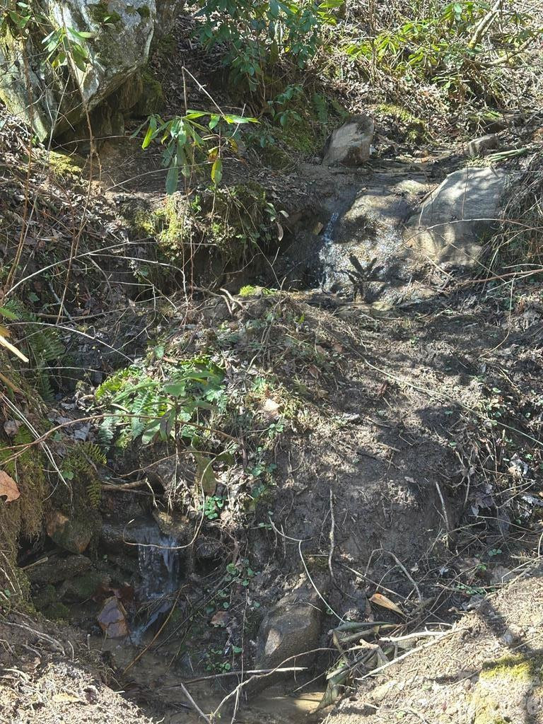 12 Chigger Ridge Road - Photo 4