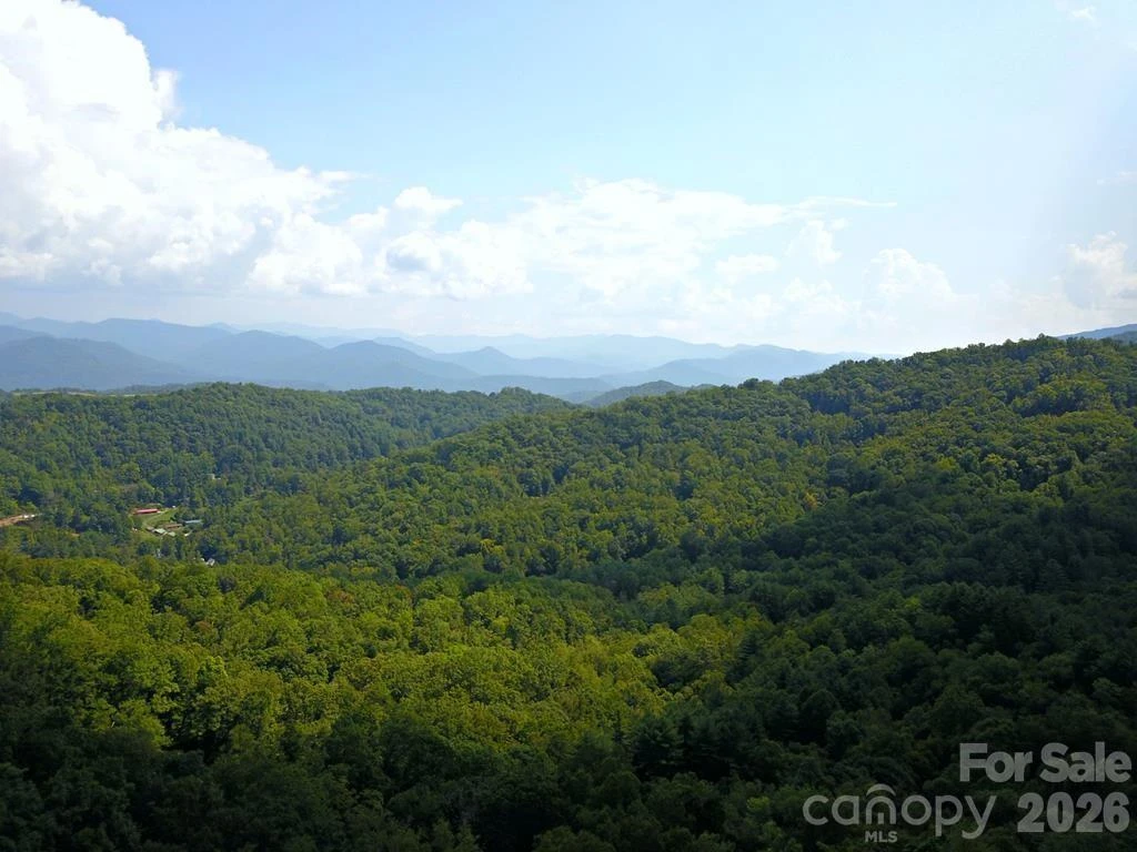 0 Mountain Forest Estates Road