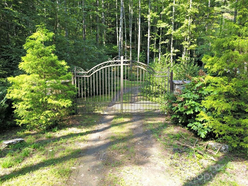 0 Mountain Forest Estates Road - Photo 2