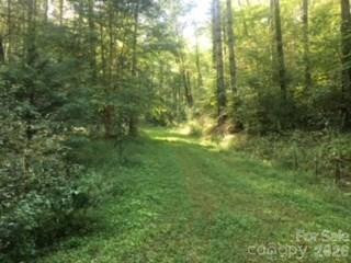 0 Mountain Forest Estates Road - Photo 13
