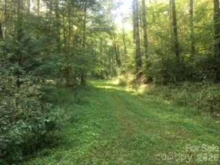 0 Mountain Forest Estates Road - Photo 13