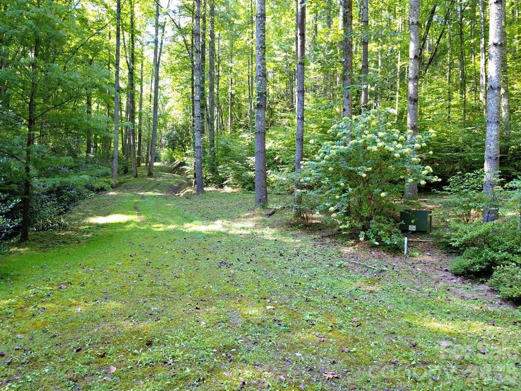 0 Mountain Forest Estates Road - Photo 14