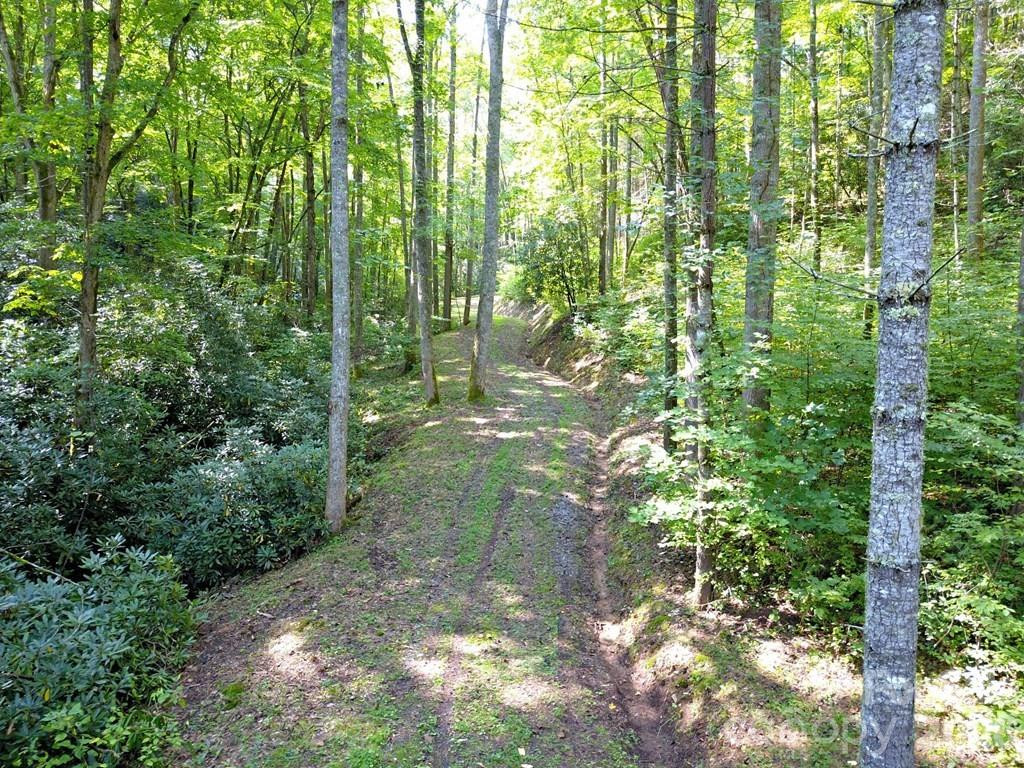 0 Mountain Forest Estates Road - Photo 15