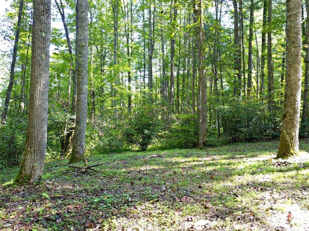 0 Mountain Forest Estates Road - Photo 16