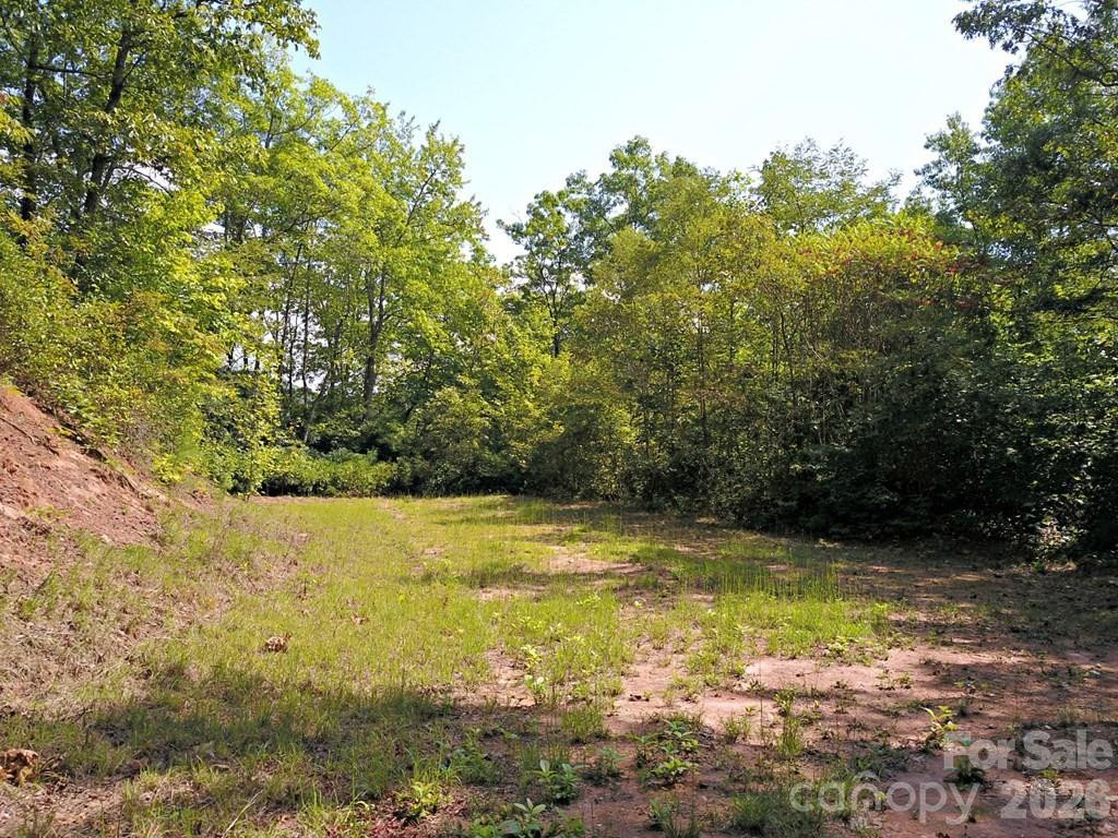 0 Mountain Forest Estates Road - Photo 17