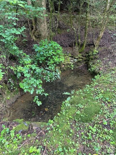 0 Mountain Forest Estates Road - Photo 18