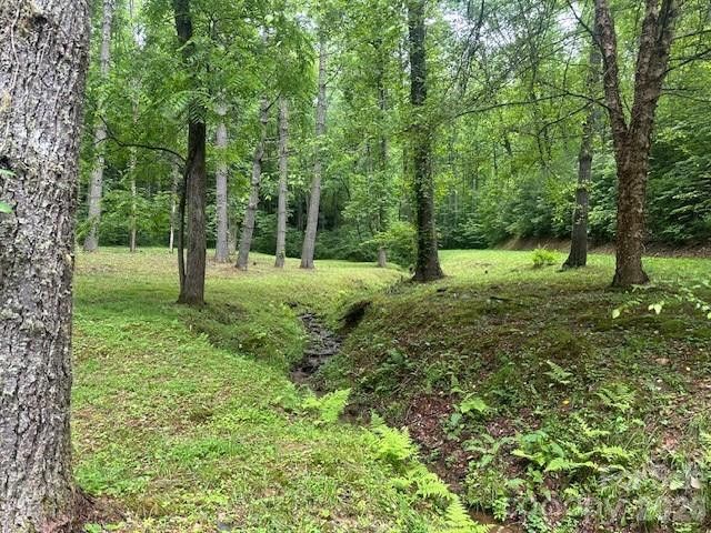 0 Mountain Forest Estates Road - Photo 19