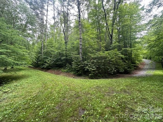0 Mountain Forest Estates Road - Photo 20