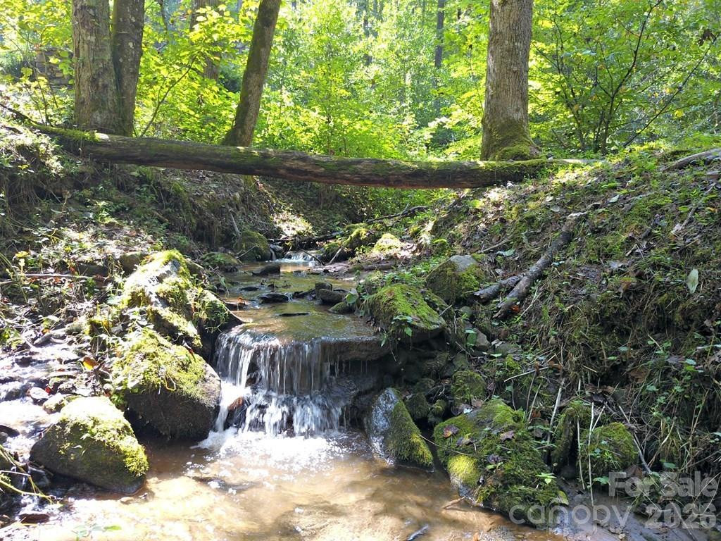 0 Mountain Forest Estates Road - Photo 3