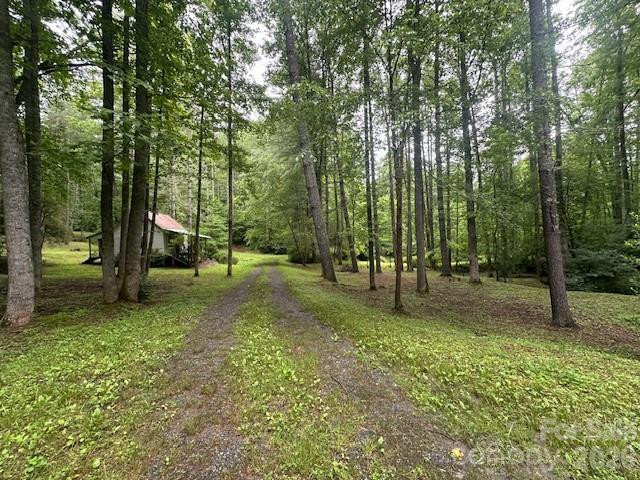 0 Mountain Forest Estates Road - Photo 22