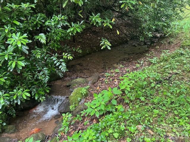 0 Mountain Forest Estates Road - Photo 23