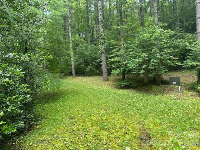 0 Mountain Forest Estates Road - Photo 24