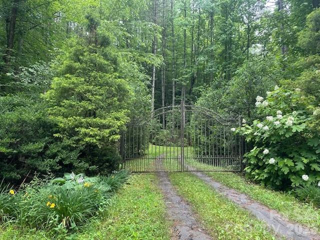 0 Mountain Forest Estates Road - Photo 25
