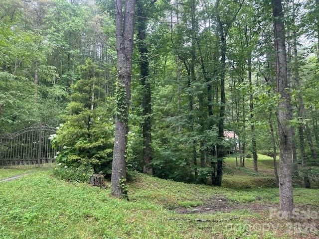 0 Mountain Forest Estates Road - Photo 26