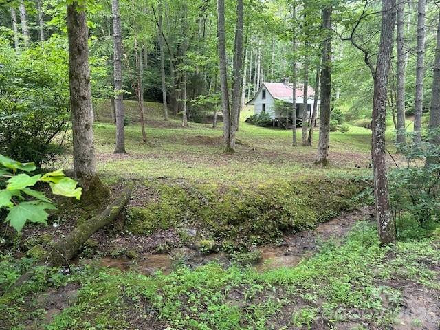 0 Mountain Forest Estates Road - Photo 4