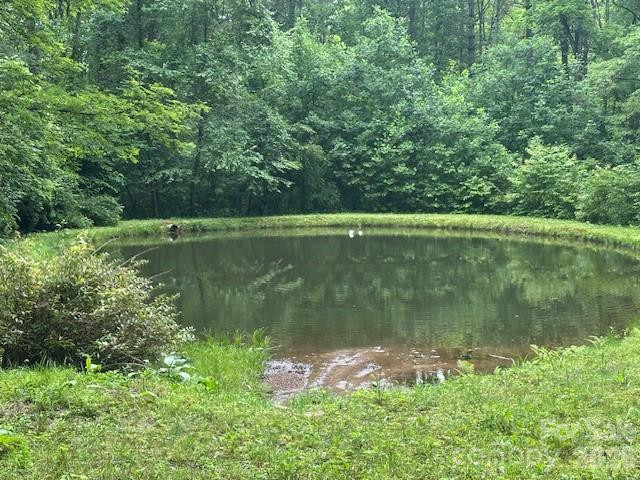 0 Mountain Forest Estates Road - Photo 6