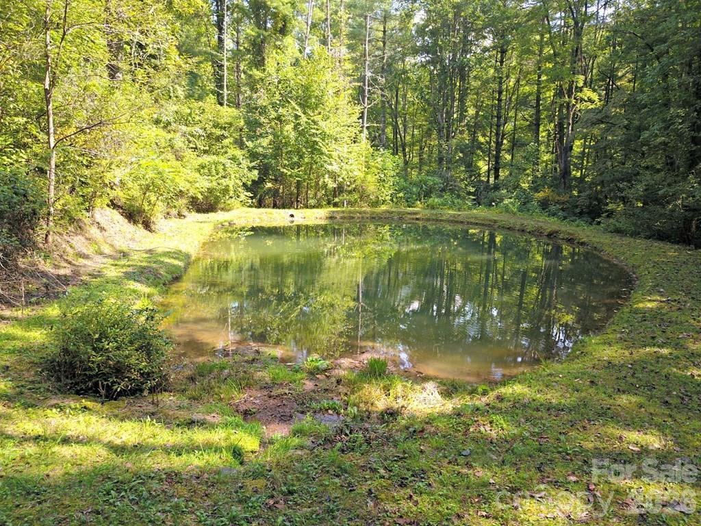 0 Mountain Forest Estates Road - Photo 7