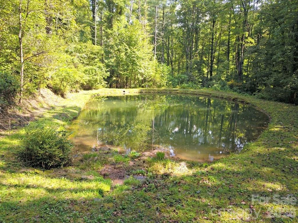 0 Mountain Forest Estates Road - Photo 7
