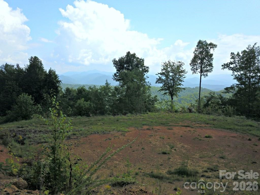 0 Mountain Forest Estates Road - Photo 8