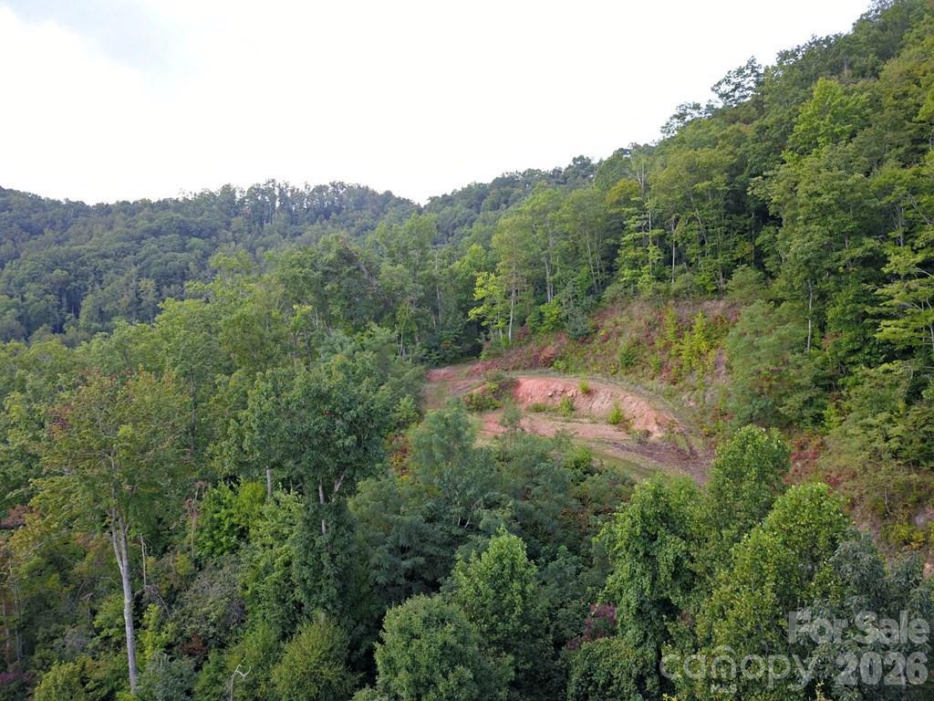 0 Mountain Forest Estates Road - Photo 9