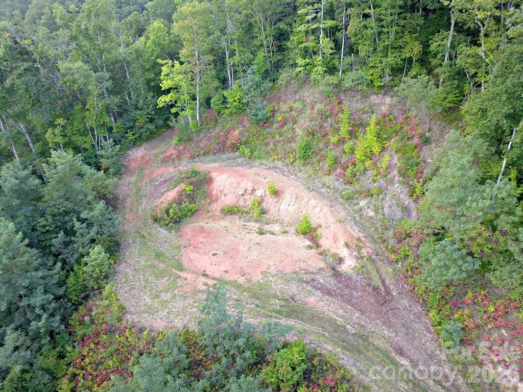 0 Mountain Forest Estates Road - Photo 10