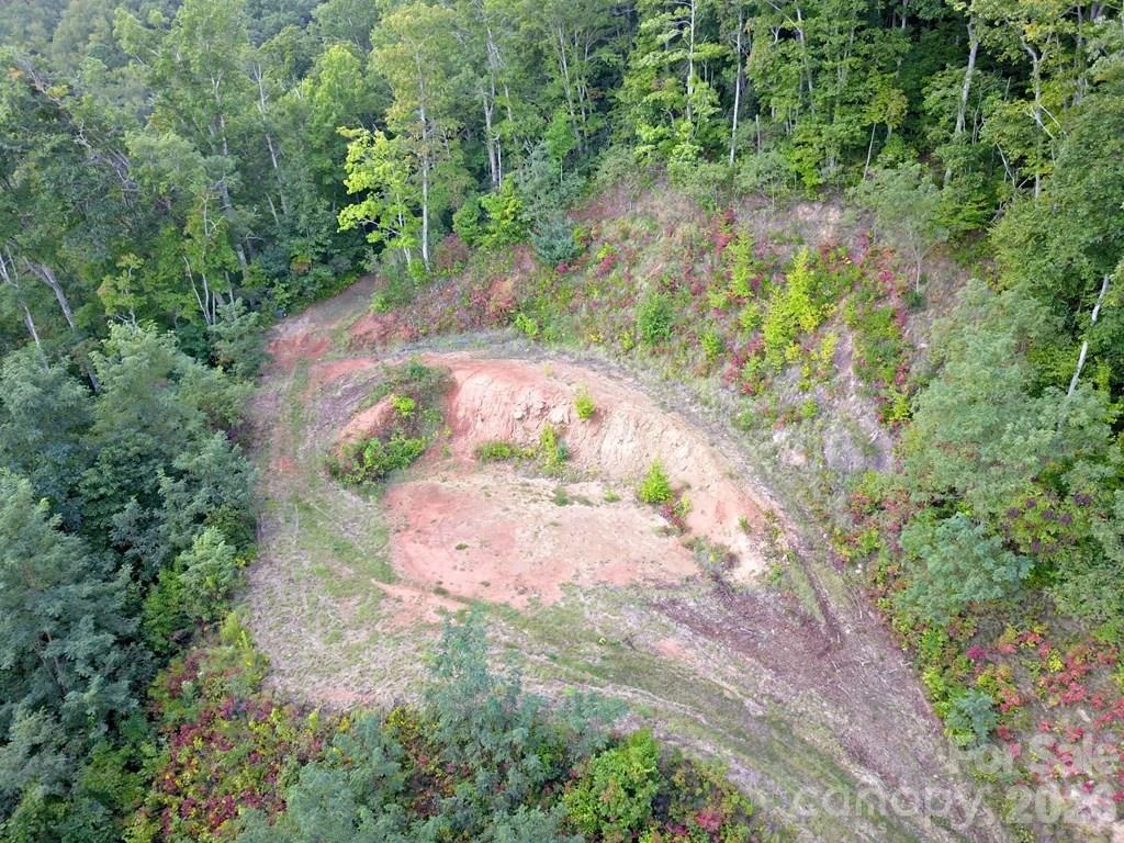 0 Mountain Forest Estates Road - Photo 10