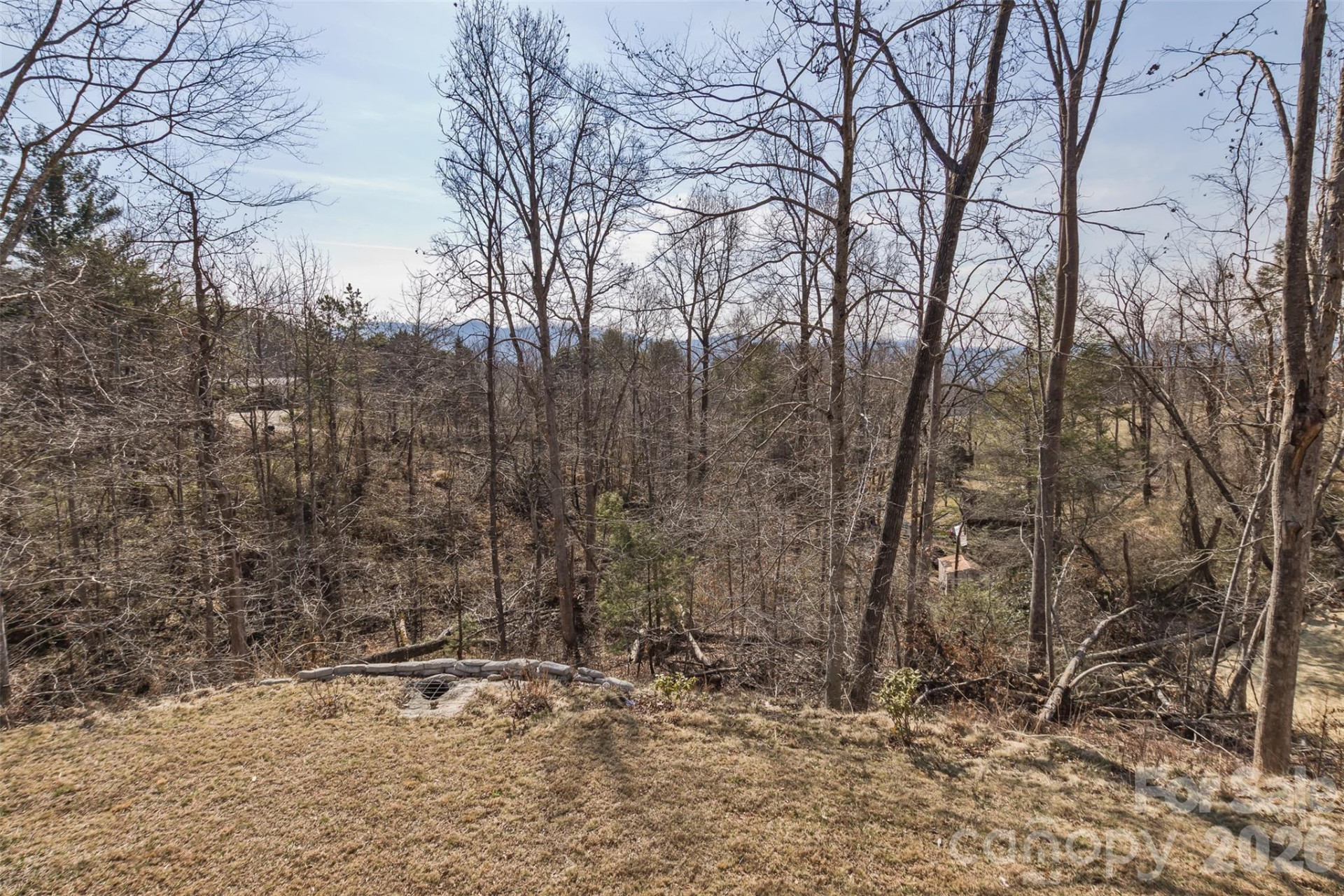 46 Carden Drive #10 - Photo 12