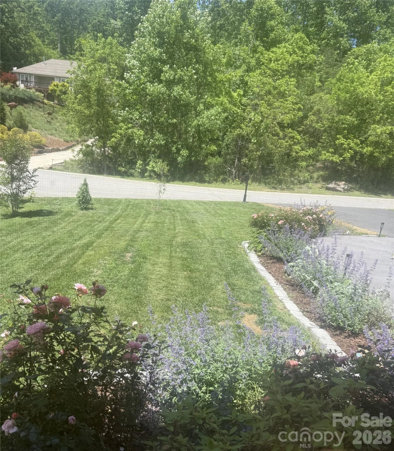 46 Carden Drive #10 - Photo 33