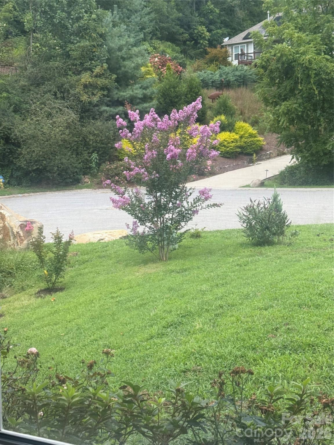 46 Carden Drive #10 - Photo 41