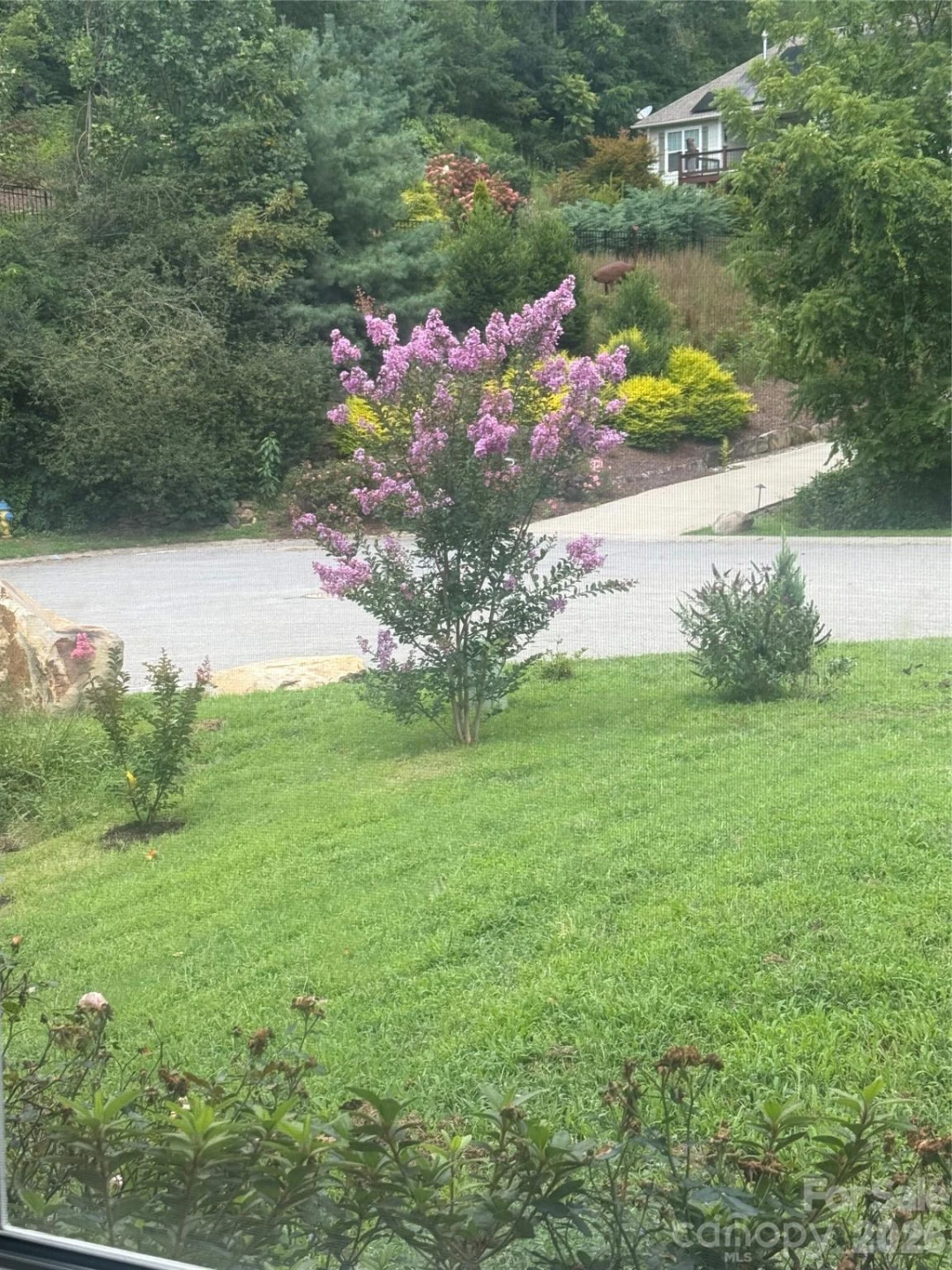 46 Carden Drive #10 - Photo 34