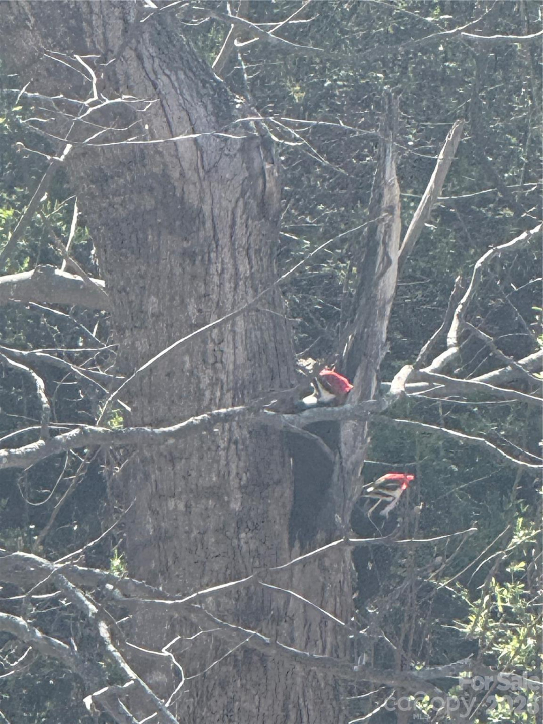 46 Carden Drive #10 - Photo 42