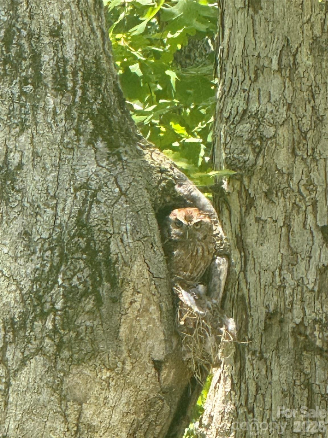 46 Carden Drive #10 - Photo 43