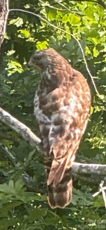 46 Carden Drive #10 - Photo 44