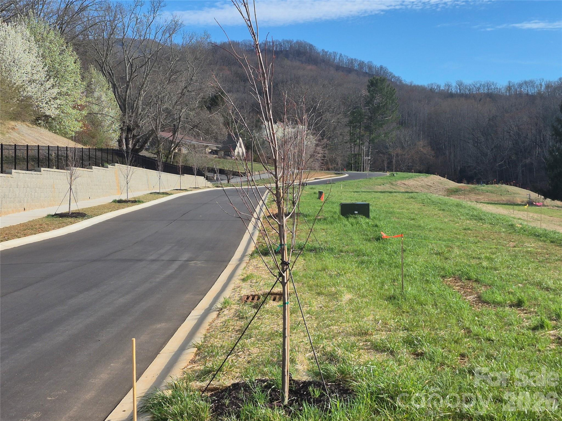 30 Farmer Branch Lane - Photo 8