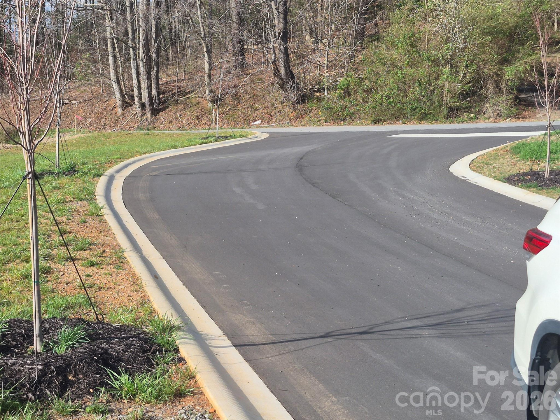 30 Farmer Branch Lane - Photo 10