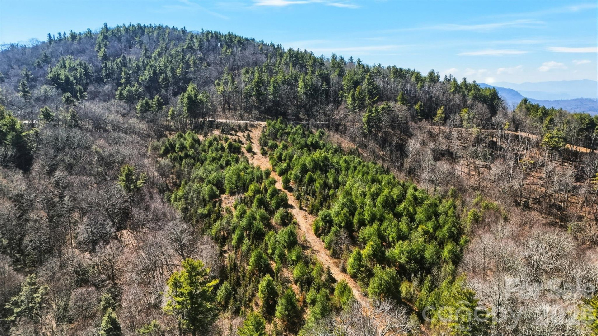 6848 Dogwood Knob Road - Photo 3