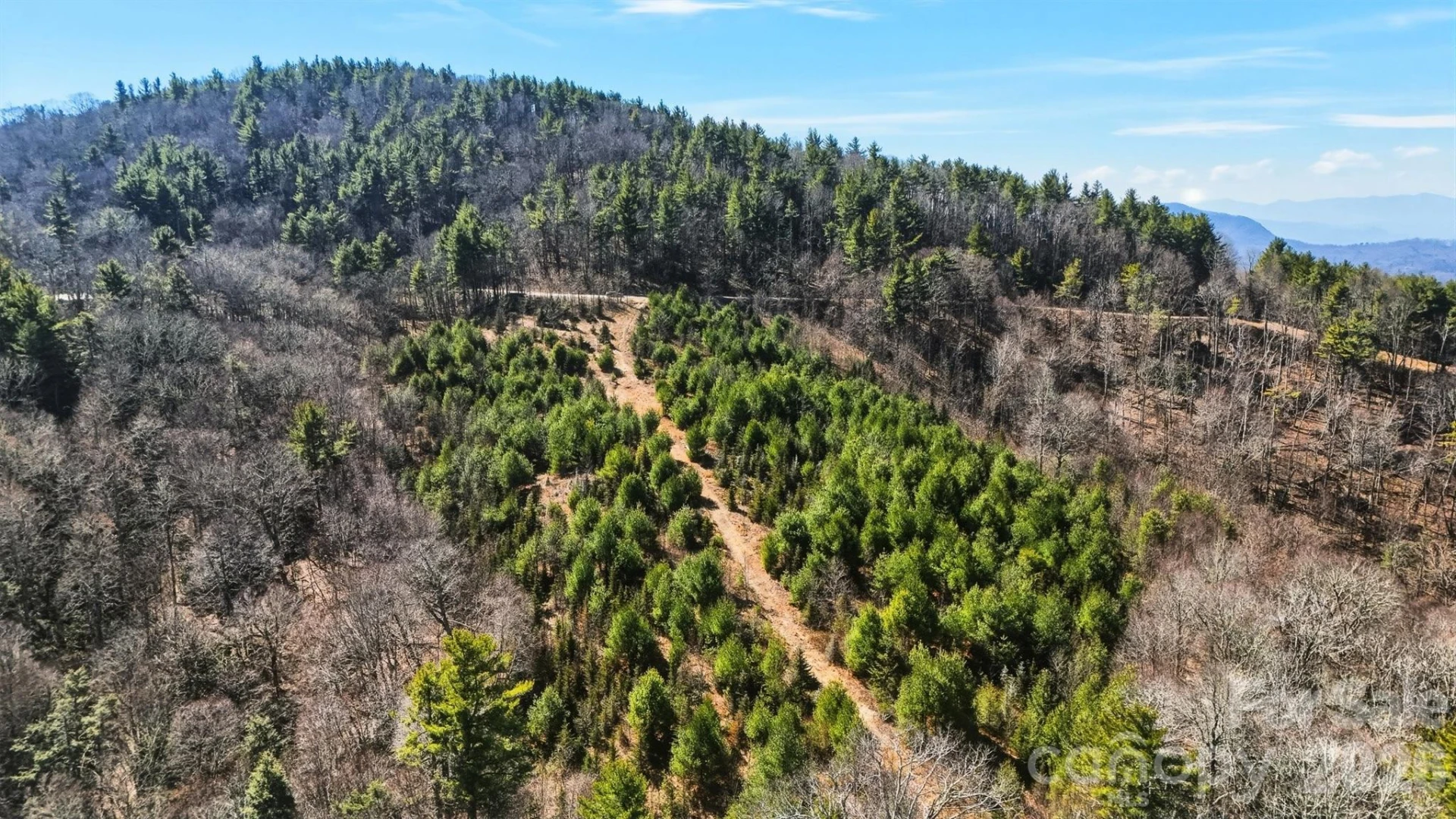 6848 Dogwood Knob Road - Photo 3