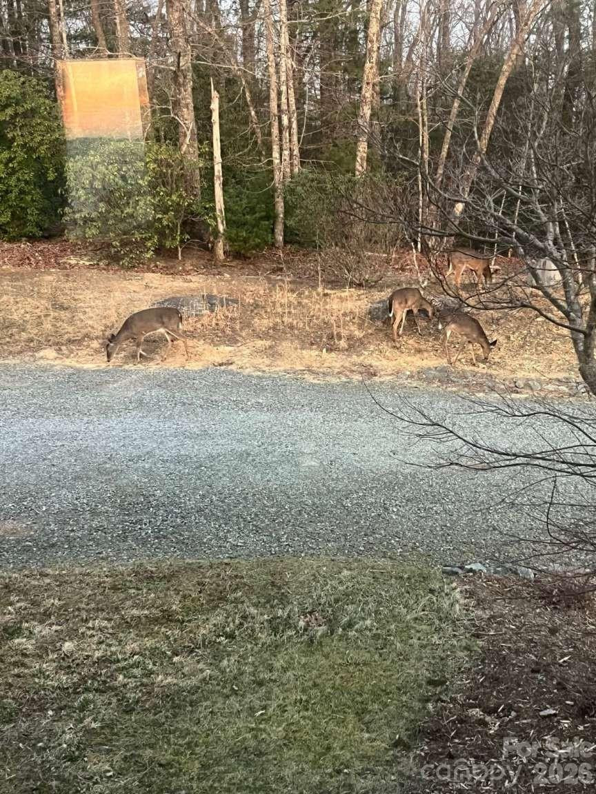 770 Dream Weaver Drive - Photo 36