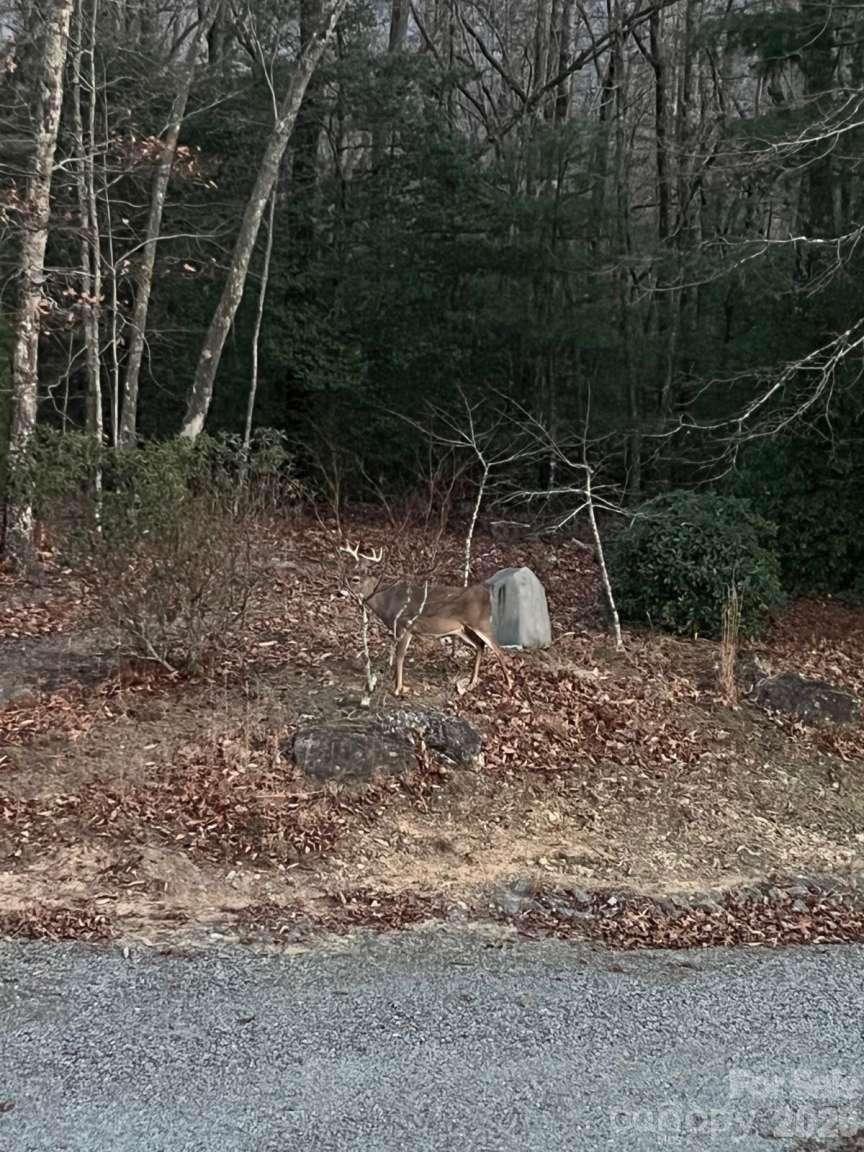 770 Dream Weaver Drive - Photo 37