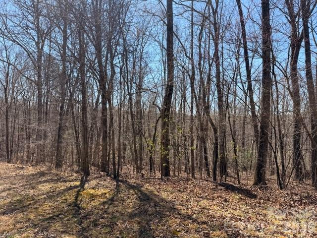 659 Bent Creek Drive #35 - Photo 3