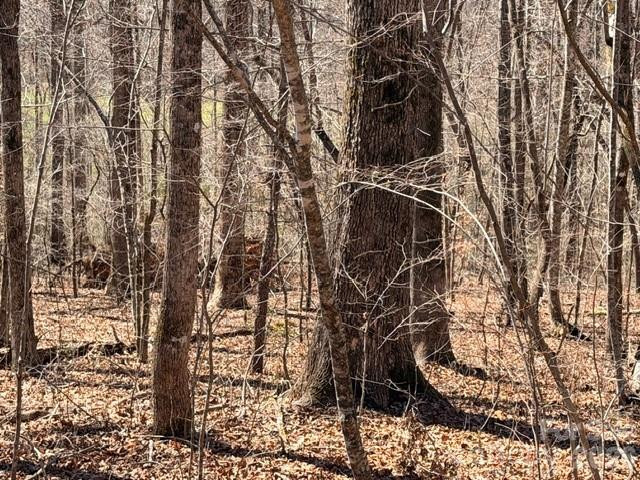 659 Bent Creek Drive #35 - Photo 4