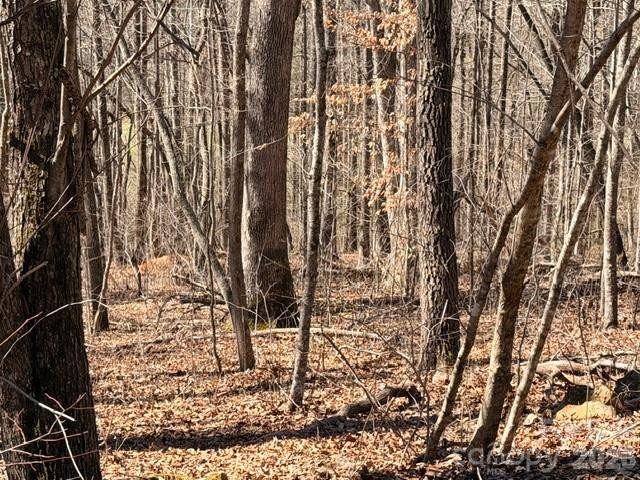 659 Bent Creek Drive #35 - Photo 5