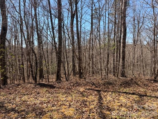 659 Bent Creek Drive #35 - Photo 6