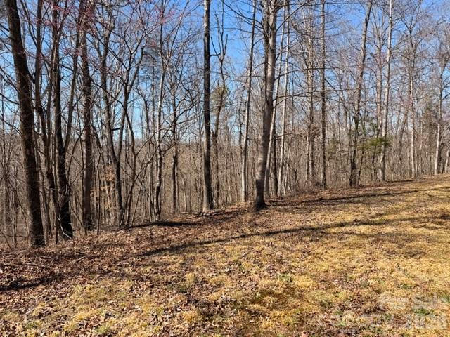 659 Bent Creek Drive #35 - Photo 7